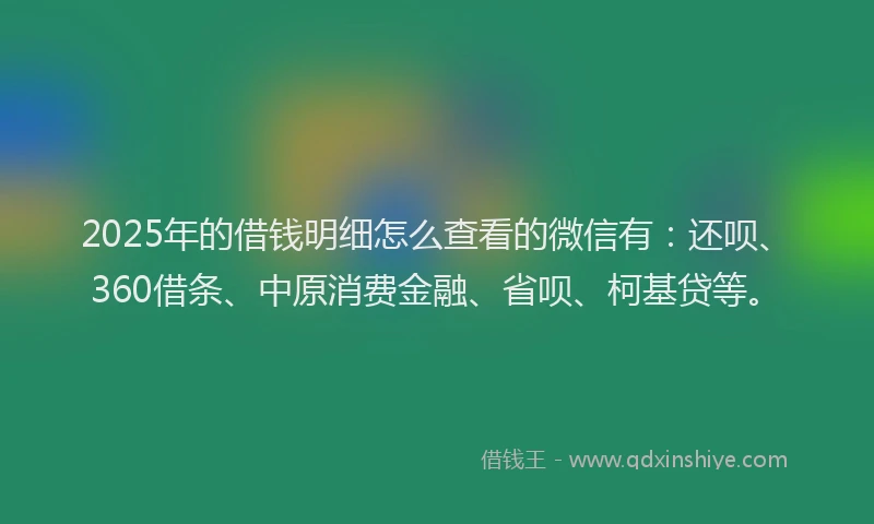 2025年的借钱明细怎么查看的微信有：还呗、360借条、中原消费金融、省呗、柯基贷等。