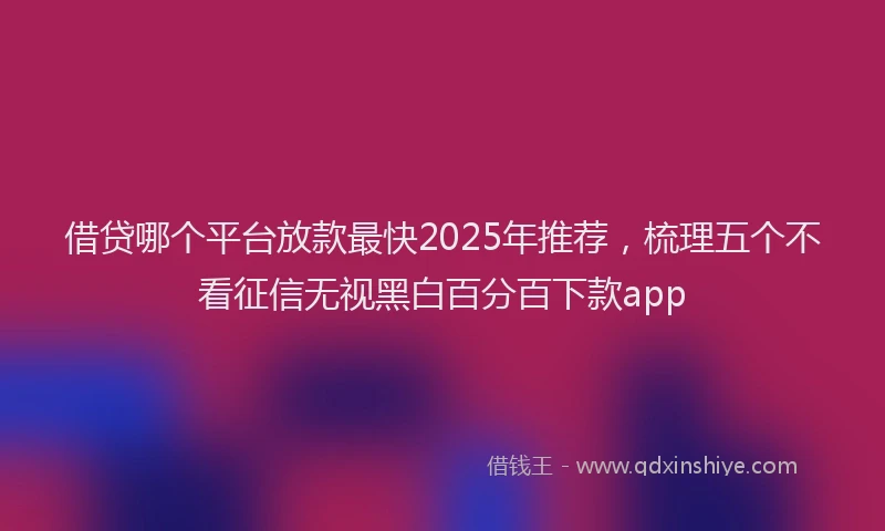 借贷哪个平台放款最快2025年推荐，梳理五个不看征信无视黑白百分百下款app
