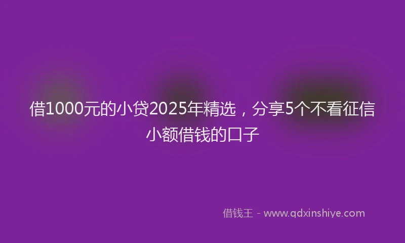 借1000元的小贷2025年精选，分享5个不看征信小额借钱的口子