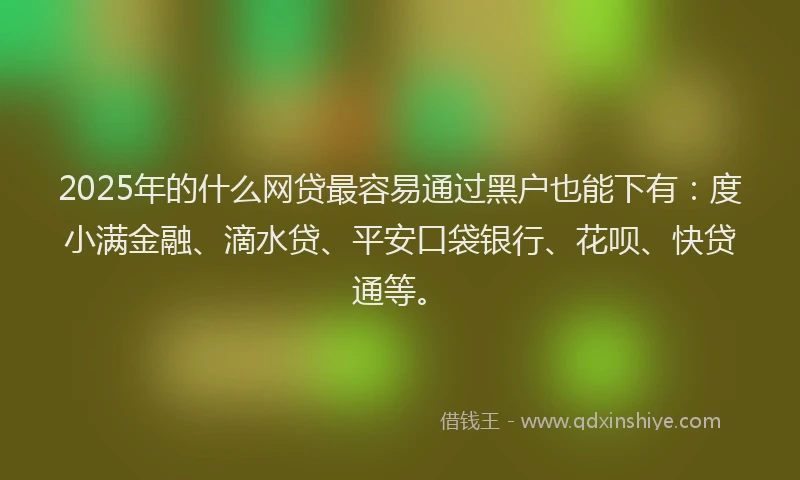 2025年的什么网贷最容易通过黑户也能下有：度小满金融、滴水贷、平安口袋银行、花呗、快贷通等。