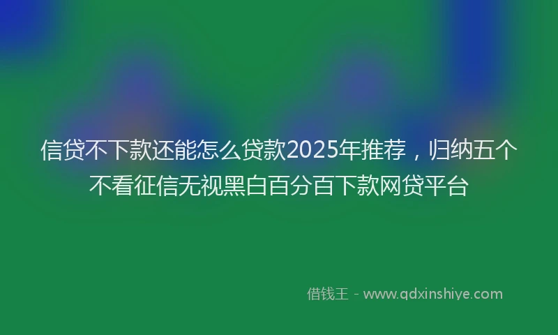 信贷不下款还能怎么贷款2025年推荐，归纳五个不看征信无视黑白百分百下款网贷平台