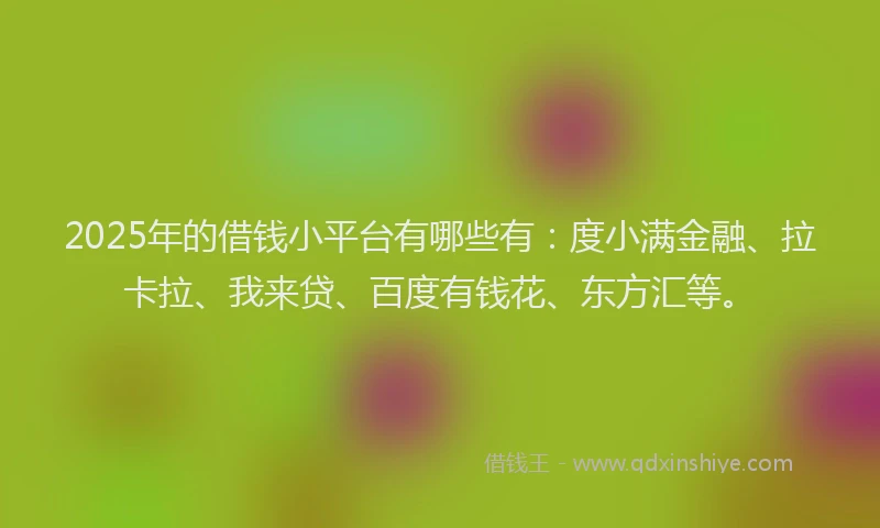 2025年的借钱小平台有哪些有：度小满金融、拉卡拉、我来贷、百度有钱花、东方汇等。