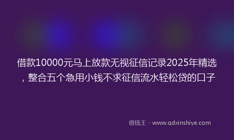 借款10000元马上放款无视征信记录2025年精选，整合五个急用小钱不求征信流水轻松贷的口子