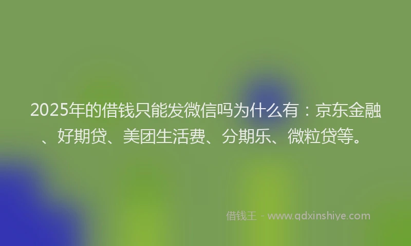 2025年的借钱只能发微信吗为什么有：京东金融、好期贷、美团生活费、分期乐、微粒贷等。