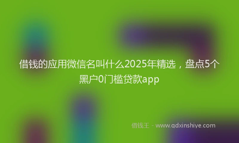 借钱的应用微信名叫什么2025年精选，盘点5个黑户0门槛贷款app