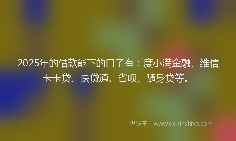 2025年的借款能下的口子有：度小满金融、维信卡卡贷、快贷通、省呗、随身贷等。