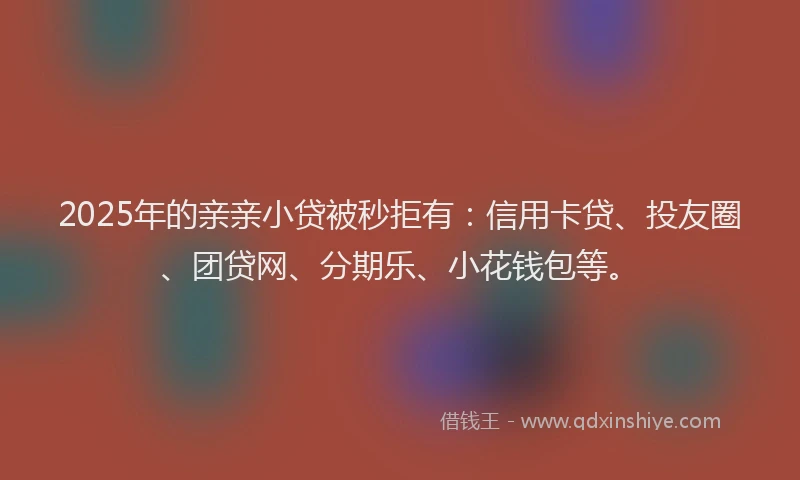 2025年的亲亲小贷被秒拒有：信用卡贷、投友圈、团贷网、分期乐、小花钱包等。
