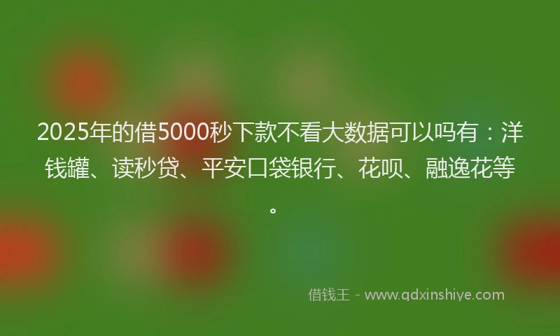 2025年的借5000秒下款不看大数据可以吗有：洋钱罐、读秒贷、平安口袋银行、花呗、融逸花等。
