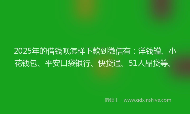 2025年的借钱呗怎样下款到微信有：洋钱罐、小花钱包、平安口袋银行、快贷通、51人品贷等。