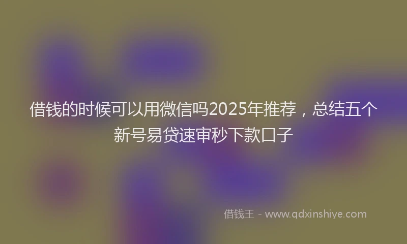 借钱的时候可以用微信吗2025年推荐，总结五个新号易贷速审秒下款口子