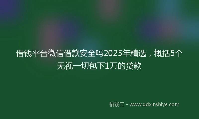 借钱平台微信借款安全吗2025年精选，概括5个无视一切包下1万的贷款