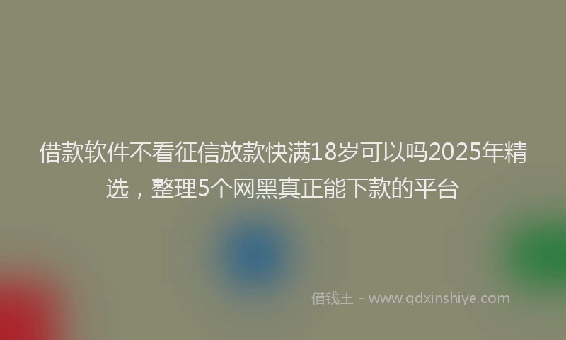 借款软件不看征信放款快满18岁可以吗2025年精选，整理5个网黑真正能下款的平台