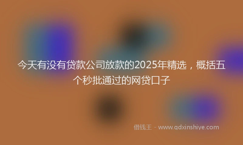 今天有没有贷款公司放款的2025年精选，概括五个秒批通过的网贷口子