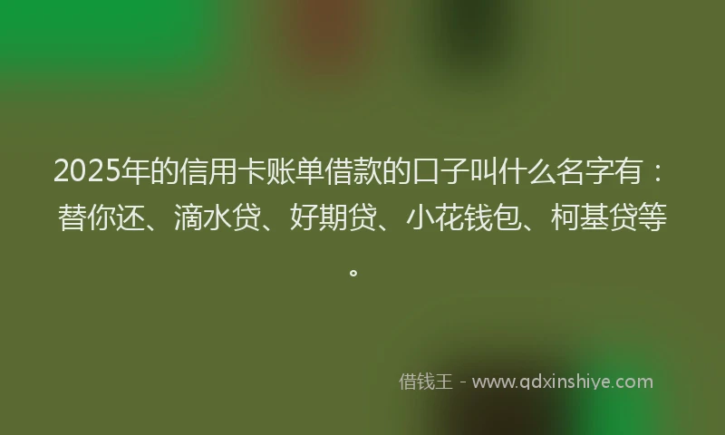 2025年的信用卡账单借款的口子叫什么名字有：替你还、滴水贷、好期贷、小花钱包、柯基贷等。
