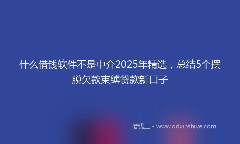 什么借钱软件不是中介2025年精选，总结5个摆脱欠款束缚贷款新口子