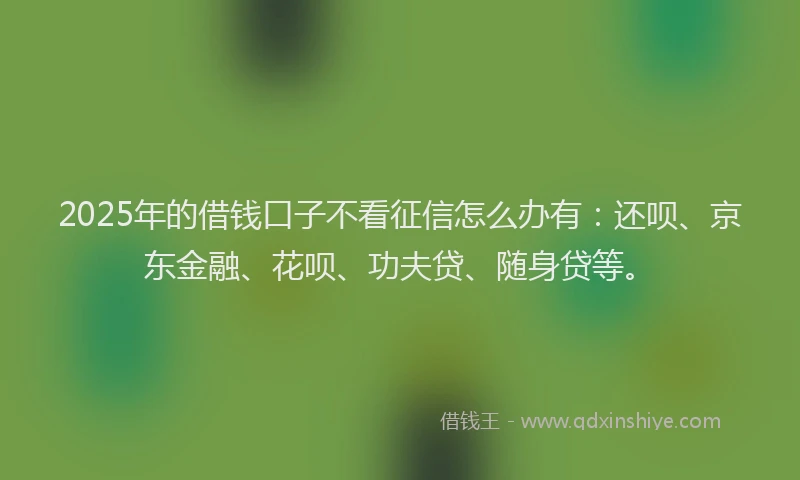 2025年的借钱口子不看征信怎么办有：还呗、京东金融、花呗、功夫贷、随身贷等。