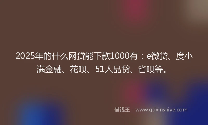 2025年的什么网贷能下款1000有：e微贷、度小满金融、花呗、51人品贷、省呗等。