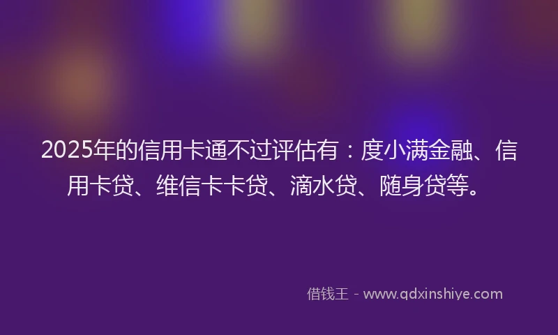2025年的信用卡通不过评估有：度小满金融、信用卡贷、维信卡卡贷、滴水贷、随身贷等。