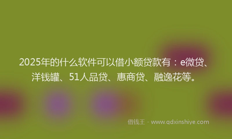 2025年的什么软件可以借小额贷款有：e微贷、洋钱罐、51人品贷、惠商贷、融逸花等。