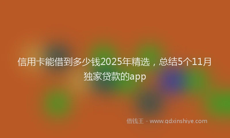 信用卡能借到多少钱2025年精选，总结5个11月独家贷款的app