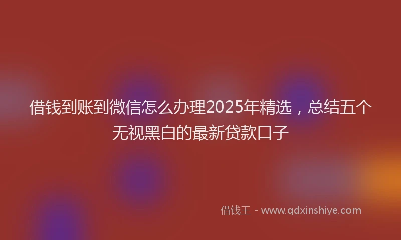 借钱到账到微信怎么办理2025年精选，总结五个无视黑白的最新贷款口子