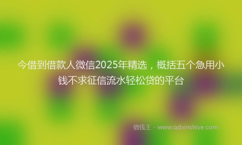 今借到借款人微信2025年精选，概括五个急用小钱不求征信流水轻松贷的平台