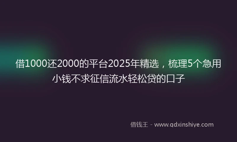 借1000还2000的平台2025年精选，梳理5个急用小钱不求征信流水轻松贷的口子