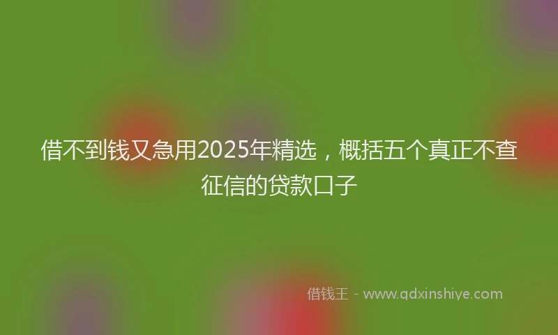 借不到钱又急用2025年精选，概括五个真正不查征信的贷款口子