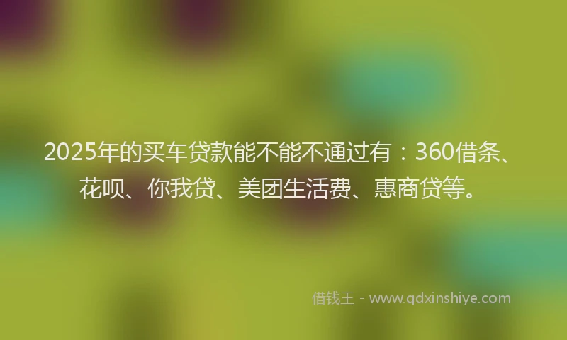 2025年的买车贷款能不能不通过有：360借条、花呗、你我贷、美团生活费、惠商贷等。