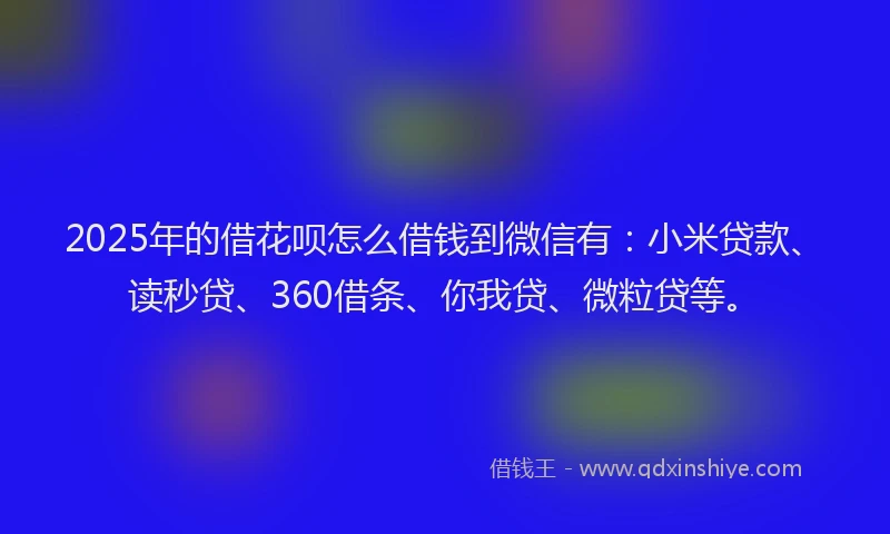 2025年的借花呗怎么借钱到微信有：小米贷款、读秒贷、360借条、你我贷、微粒贷等。
