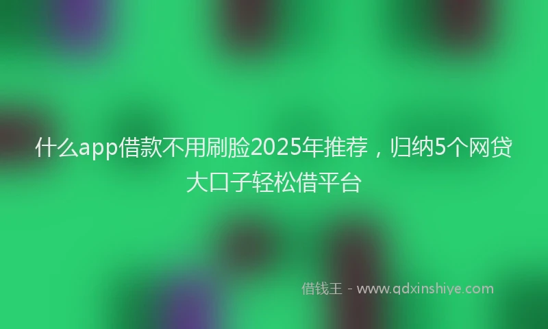 什么app借款不用刷脸2025年推荐，归纳5个网贷大口子轻松借平台