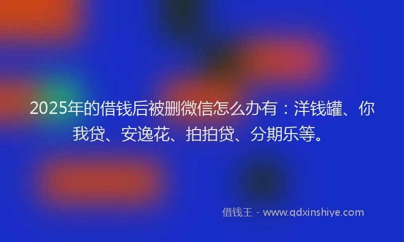 2025年的借钱后被删微信怎么办有：洋钱罐、你我贷、安逸花、拍拍贷、分期乐等。