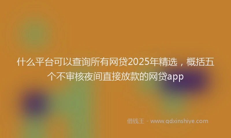 什么平台可以查询所有网贷2025年精选，概括五个不审核夜间直接放款的网贷app