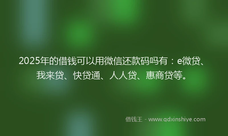 2025年的借钱可以用微信还款码吗有：e微贷、我来贷、快贷通、人人贷、惠商贷等。