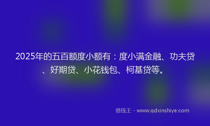 2025年的五百额度小额有：度小满金融、功夫贷、好期贷、小花钱包、柯基贷等。