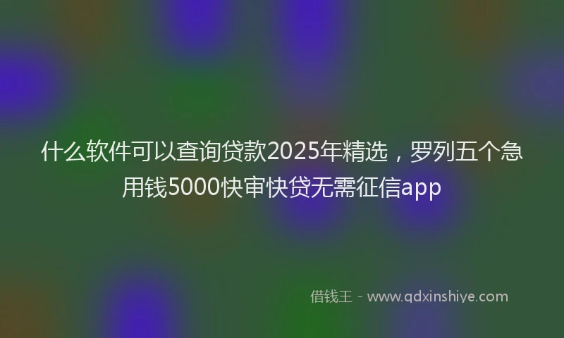 什么软件可以查询贷款2025年精选，罗列五个急用钱5000快审快贷无需征信app