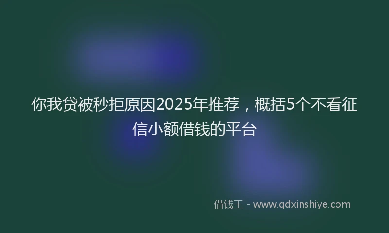 你我贷被秒拒原因2025年推荐，概括5个不看征信小额借钱的平台