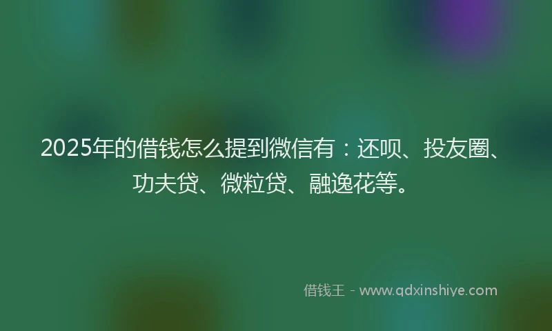 2025年的借钱怎么提到微信有：还呗、投友圈、功夫贷、微粒贷、融逸花等。
