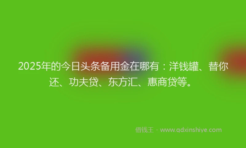2025年的今日头条备用金在哪有：洋钱罐、替你还、功夫贷、东方汇、惠商贷等。