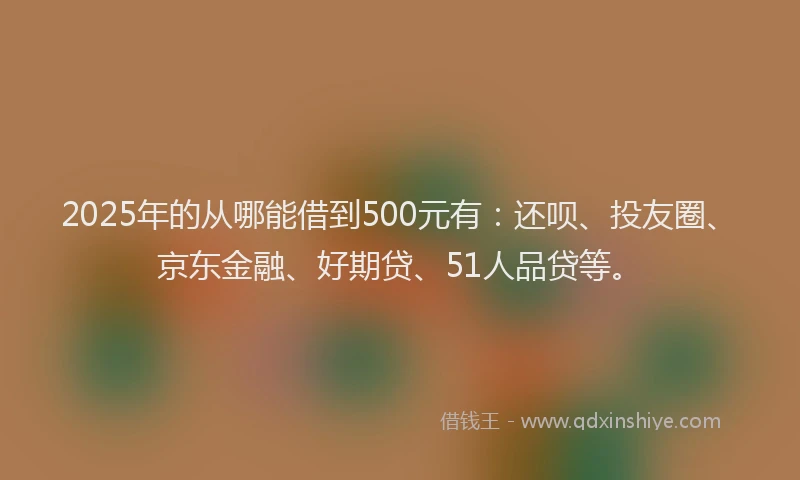 2025年的从哪能借到500元有：还呗、投友圈、京东金融、好期贷、51人品贷等。