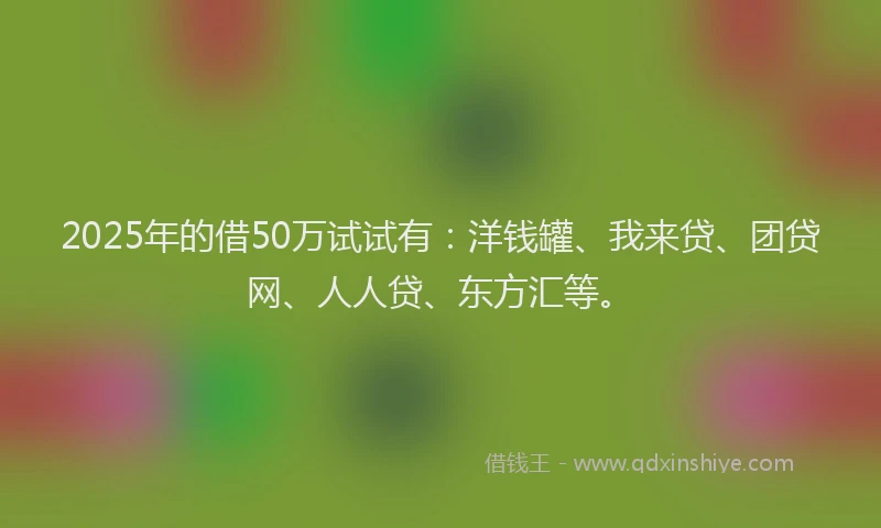 2025年的借50万试试有：洋钱罐、我来贷、团贷网、人人贷、东方汇等。