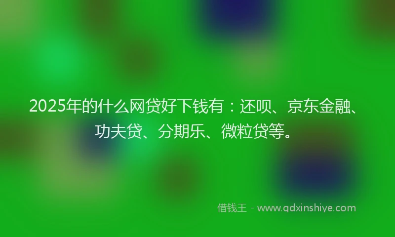 2025年的什么网贷好下钱有：还呗、京东金融、功夫贷、分期乐、微粒贷等。