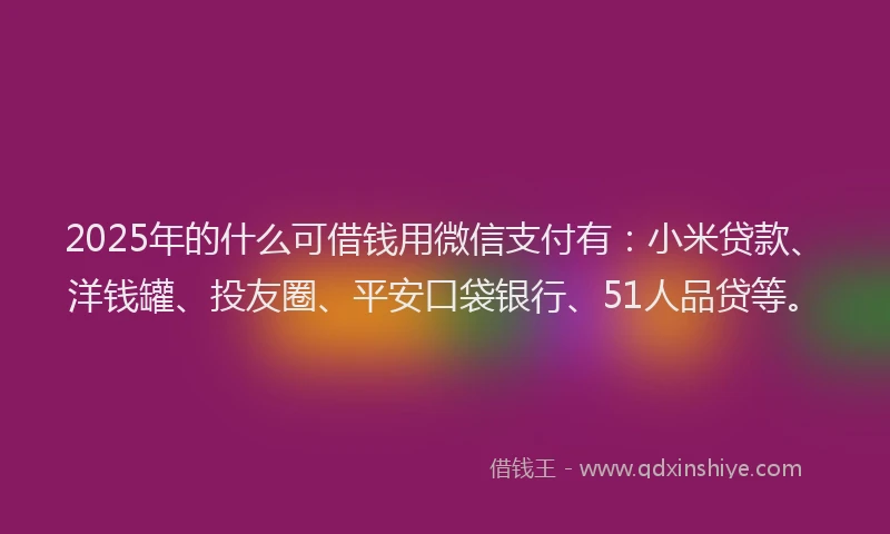 2025年的什么可借钱用微信支付有：小米贷款、洋钱罐、投友圈、平安口袋银行、51人品贷等。