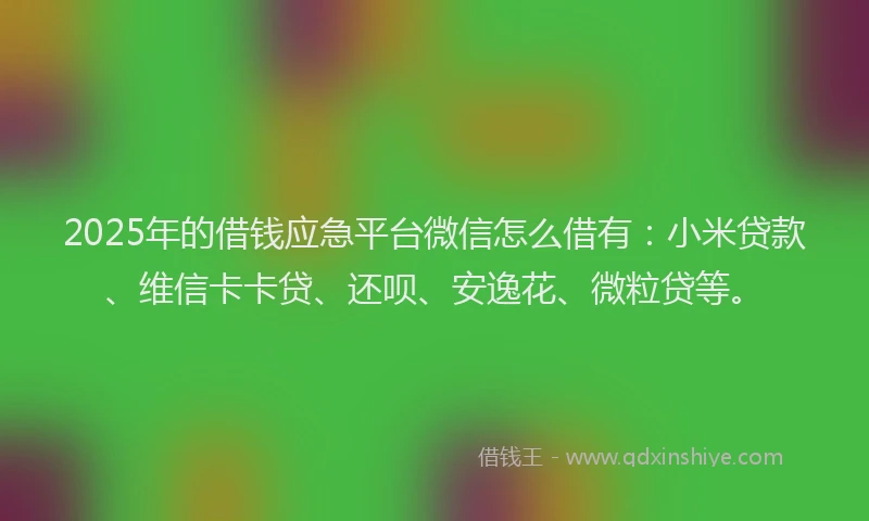 2025年的借钱应急平台微信怎么借有：小米贷款、维信卡卡贷、还呗、安逸花、微粒贷等。