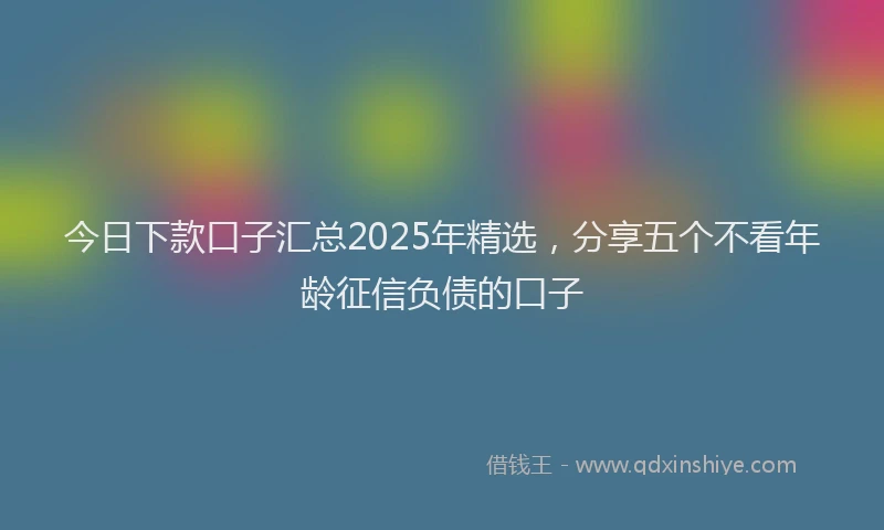 今日下款口子汇总2025年精选，分享五个不看年龄征信负债的口子