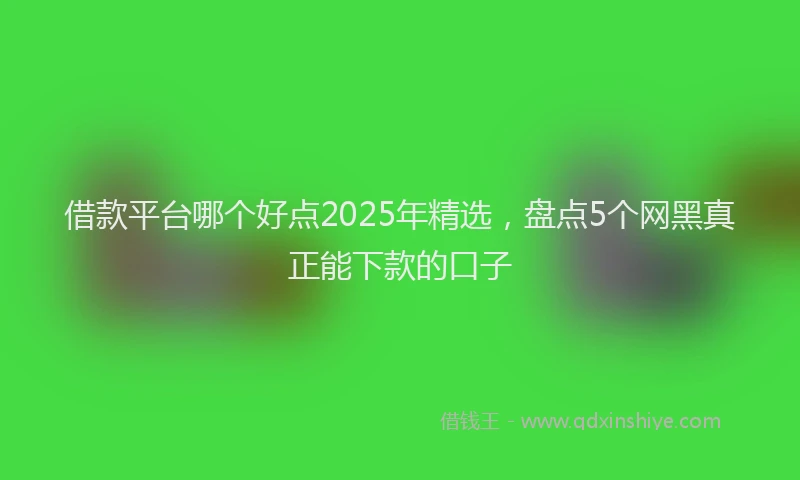 借款平台哪个好点2025年精选，盘点5个网黑真正能下款的口子
