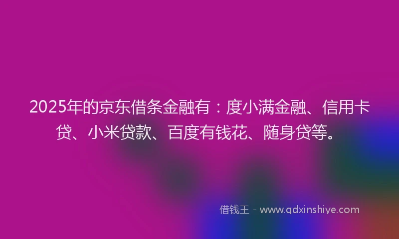 2025年的京东借条金融有：度小满金融、信用卡贷、小米贷款、百度有钱花、随身贷等。