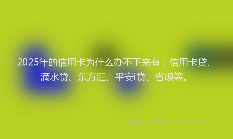 2025年的信用卡为什么办不下来有：信用卡贷、滴水贷、东方汇、平安i贷、省呗等。