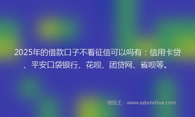 2025年的借款口子不看征信可以吗有：信用卡贷、平安口袋银行、花呗、团贷网、省呗等。