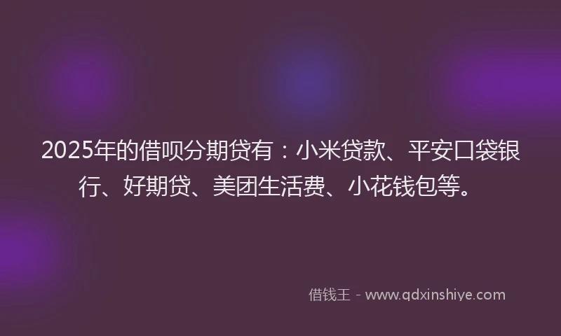 2025年的借呗分期贷有：小米贷款、平安口袋银行、好期贷、美团生活费、小花钱包等。